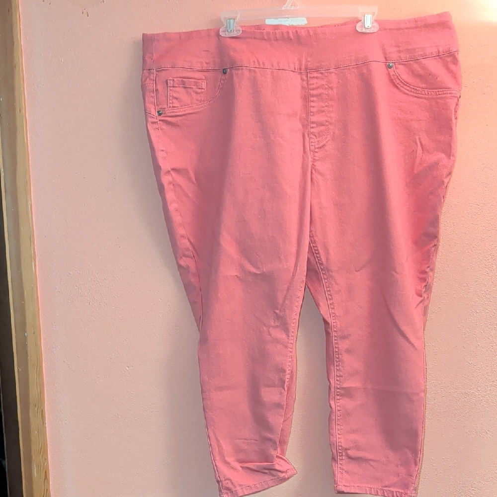 DG2 by Diane Gilman Coral Ankle Jeans
